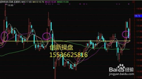 深度解析，600810股票投资攻略——从入门到精通