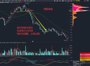 深度解析，600810股票投资攻略——从入门到精通