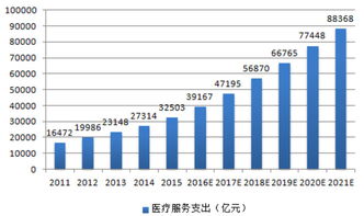 深度解析与投资指南，走进601231股吧，解锁财富增长密码