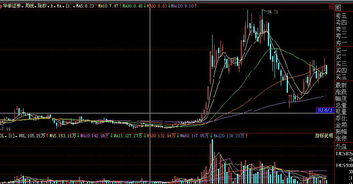 深度解析，股票600800——挖掘价值与投资策略