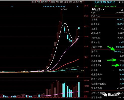 深度解析，股票600800——挖掘价值与投资策略