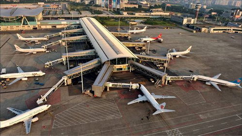 探索航空巨擘，上海机场600009——深度解析与投资指南