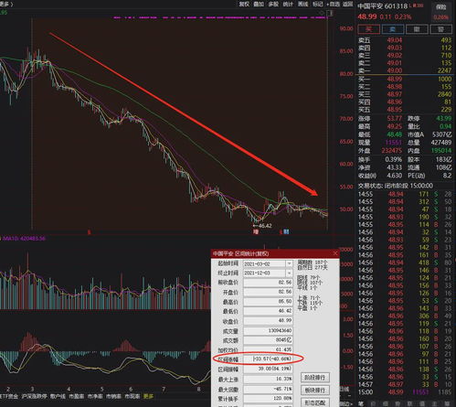 深度解析，浪潮信息——信息技术领域的行业领航者，股票投资指南