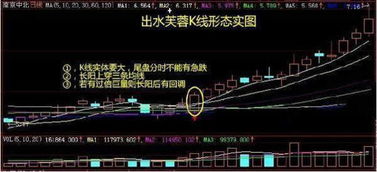 揭秘ST股票的毕业之旅，告别股市舞台的那些事儿