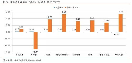 华宝基金管理公司的理财魔法师，解锁您的财富增值秘籍