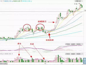 深度解析江苏吴中，探索股市中的苏州明珠