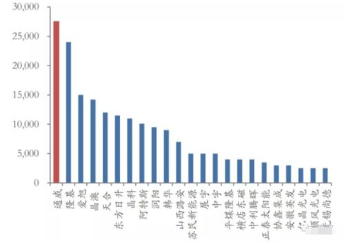 深度解析，600258股票的投资攻略与未来展望