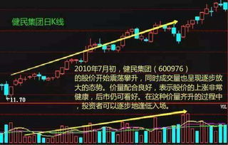 深度解析，股票000338——一只潜力与挑战并存的蓝筹股