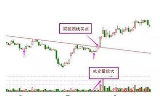 掌握股票600737，深度解析与实战策略指南