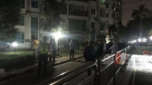 悲剧警示，醉酒夜归，高三女生遭遇不幸