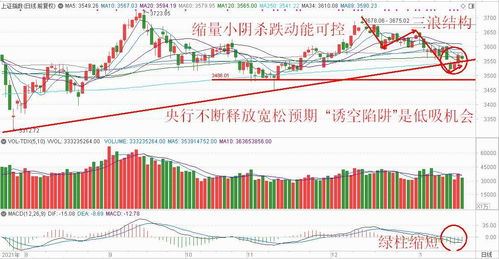 探索新兴成长基金净值的秘密花园，理解、投资与增值策略