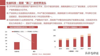 景顺精选蓝筹，稳健投资的黄金选择——深度解析与实战应用