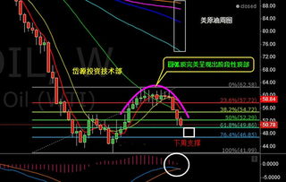 深度解析，600538股票投资攻略——从基本面到技术面的全面指南