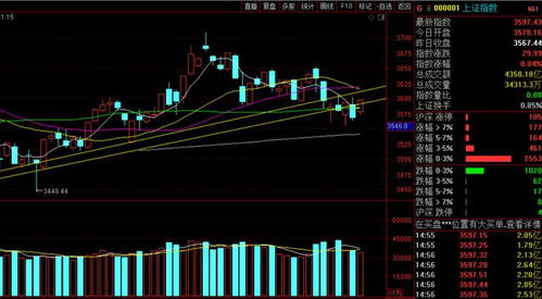 深度解析，600538股票投资攻略——从基本面到技术面的全面指南