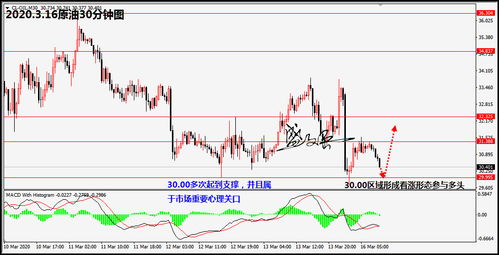 深度解析，600538股票投资攻略——从基本面到技术面的全面指南