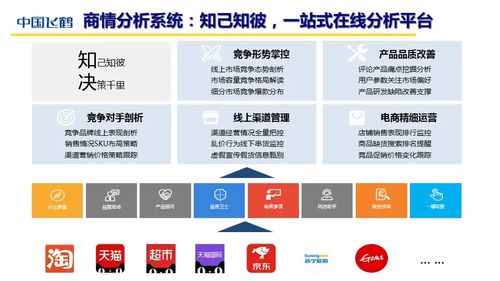 基石稳固，深度解析石基信息——挖掘数字化转型的稳健力量