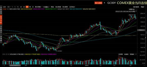 探秘黄金价格波动，山东黄金的市场智慧与投资策略