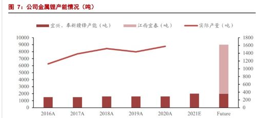 赣锋锂业，中国锂电产业链的旗舰，绿色能源新时代的引领者