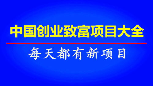 华夏蓝筹分红，财富的绿色丰收，稳健投资的新绿洲