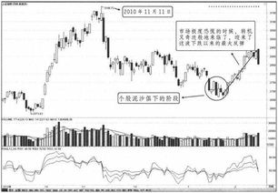 深度解析，002236——探索中国股市的亮丽明珠