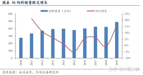 深度解析，中京电子股票的投资价值与前景展望