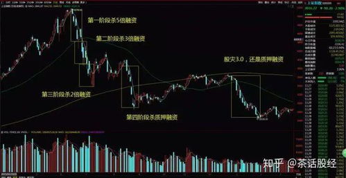 深度解析，江苏阳光股票的投资攻略与未来展望