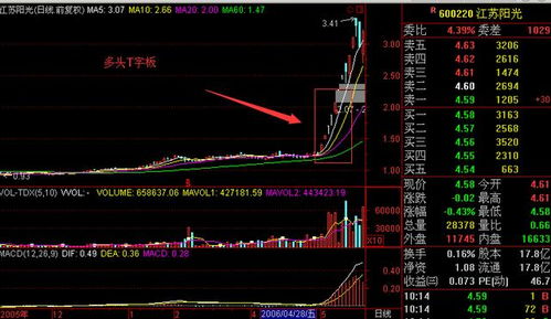 深度解析，江苏阳光股票的投资攻略与未来展望