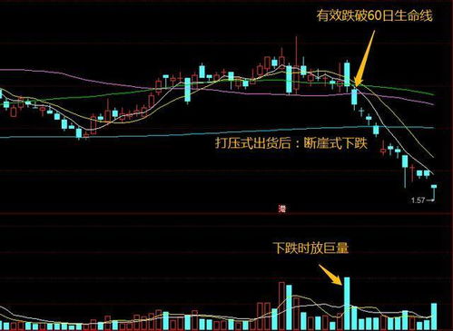 深度解析，台湾股市行情的波动与投资攻略