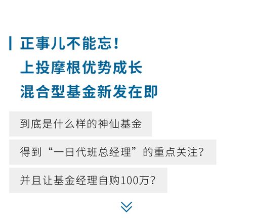 揭秘202005净值，你的财富小秘密，一探究竟！