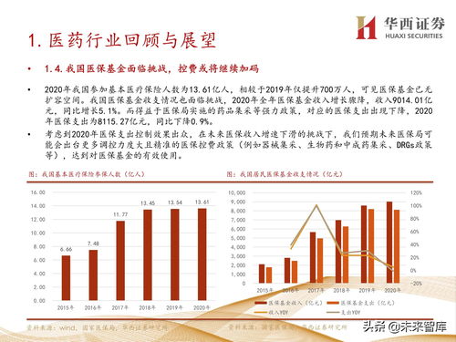 深度解析，双鹭药业——创新医药领域的稳健航行者