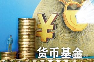 掌握未来财富密码，深度解析中银货币基金的投资攻略