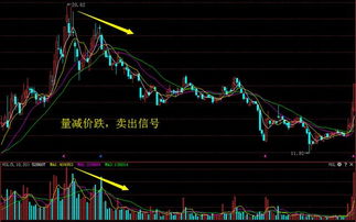 高位放量上涨，信号解读与投资策略深度剖析