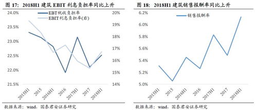 深度解析，长信增利基金净值波动背后的秘密与投资策略