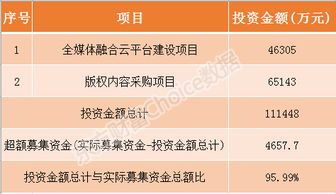 全面指南，新股申购的深度解析与实战策略