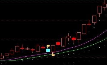 深度解析，600186股票投资攻略——从入门到精通