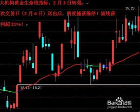 深度解析，600186股票投资攻略——从入门到精通