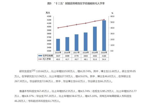 深度解析，富瑞特装，行业领航者，投资前景展望