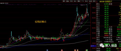 解锁双重收益，深入解析转债股票的魅力与投资策略