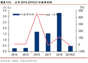 深度解析，广济药业股吧中的市场动态与投资机遇