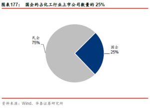 揭秘中石油，市值背后的经济引擎与投资解析