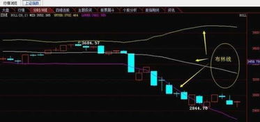 深度解析，股票600456——挖掘潜在价值与投资策略