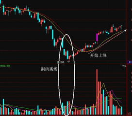 深度解析，股票600456——挖掘潜在价值与投资策略