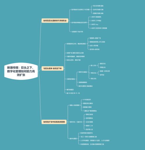 深度解析，吉视传媒——探索电视行业的数字化转型之路