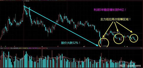 深度解析，四川双马000935——一只潜力与挑战并存的白马股