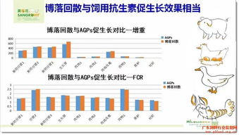 揭秘净值增长率，投资理财的隐形冠军