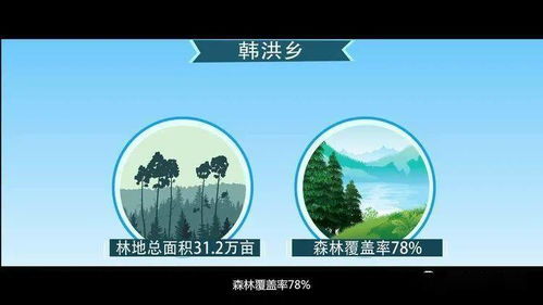 探索北大荒的绿色宝藏: 一探究竟的股票投资之旅