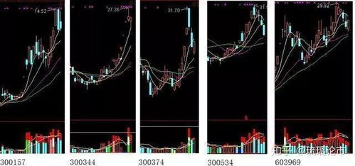 深度解析与实战指南，零零六零股吧——投资智慧的导航灯塔