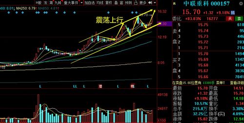 深度解析，解锁000636这只股票的投资密码