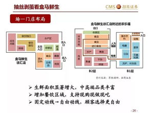 探索未来之路，深入解析Etc概念股的机遇与挑战