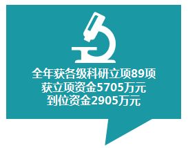 金陵药业股份有限公司，稳健前行，创新引领的医药巨头